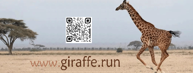 giraffes.run  奔跑的长颈鹿――等天使 寻合作